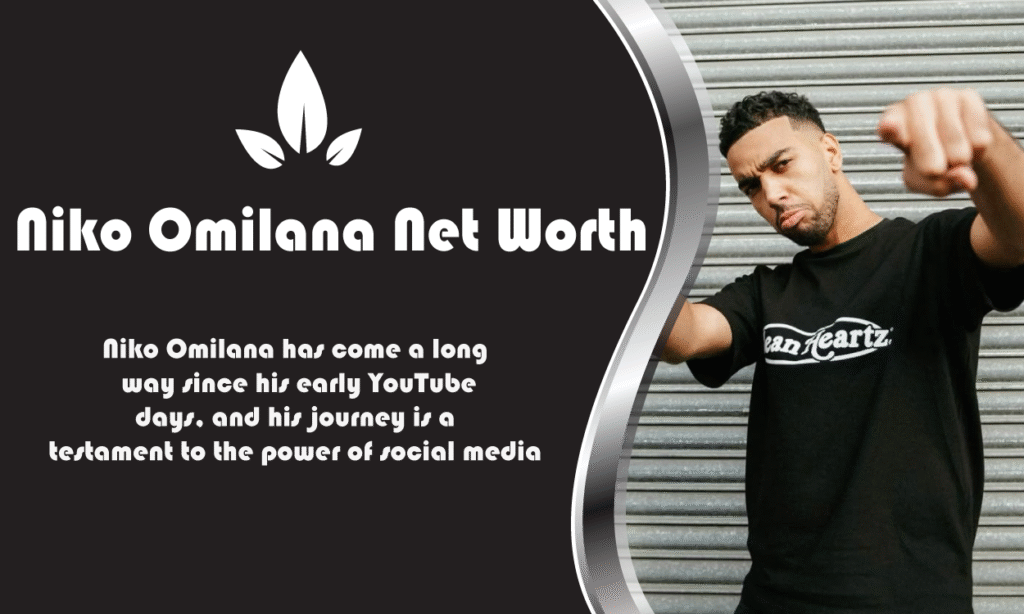 Niko Omilana Net Worth