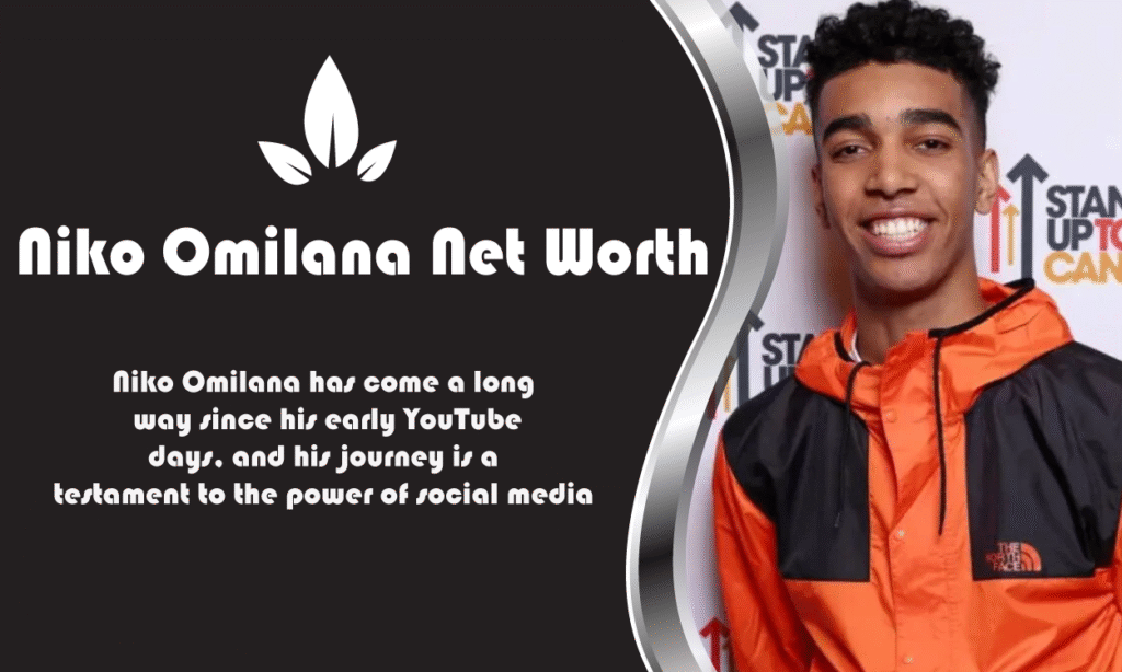 Niko Omilana Net Worth