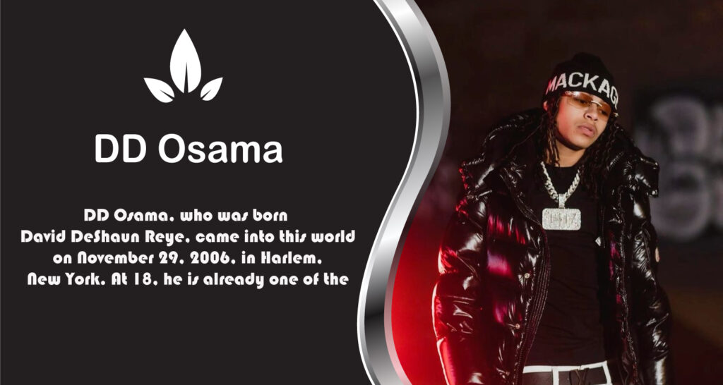 DD Osama