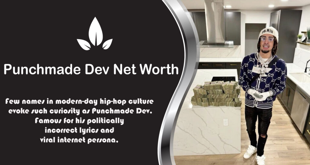 Punchmade Dev Net Worth