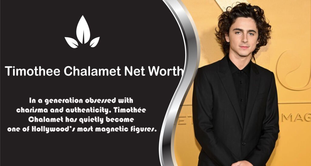 Timothee Chalamet Net Worth