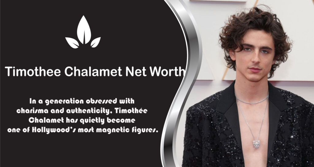 Timothee Chalamet Net Worth