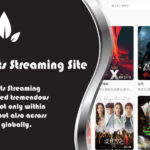 Korean Sports Streaming Site