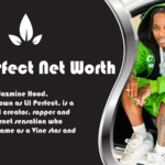 Lil Perfect Net Worth