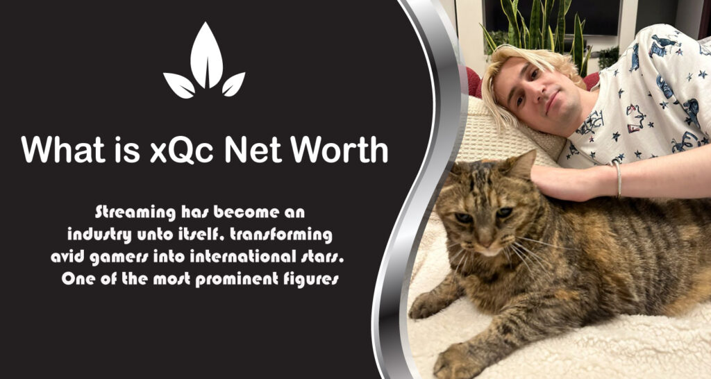What is xQc Net Worth
