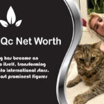 What is xQc Net Worth