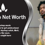 Hunxho Net Worth