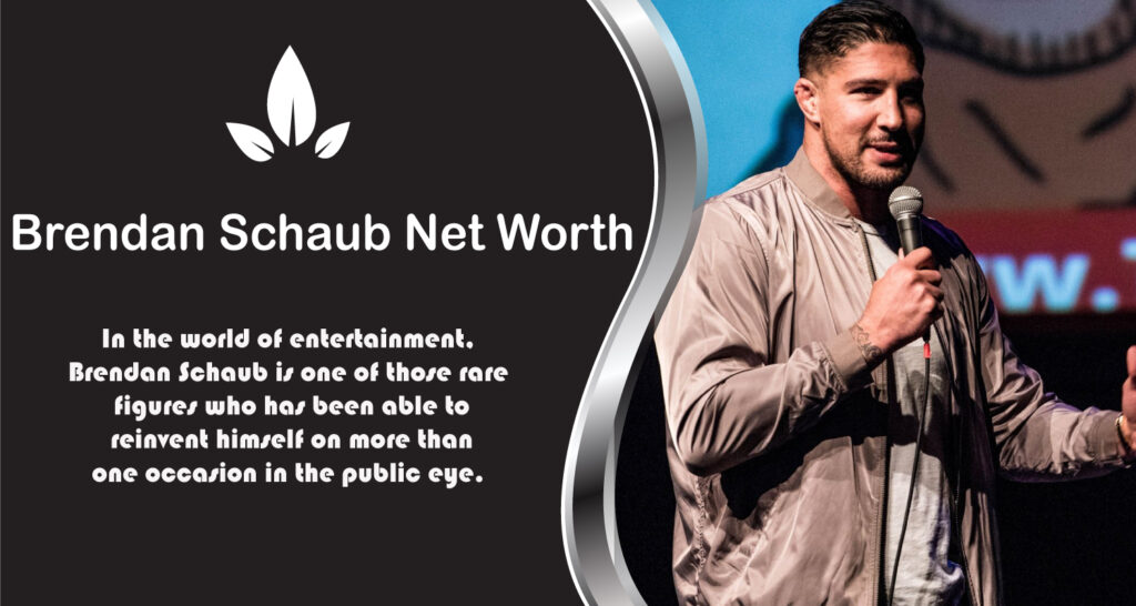 Brendan Schaub Net Worth