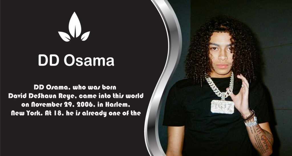 DD Osama