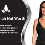 Noor Alfallah Net Worth