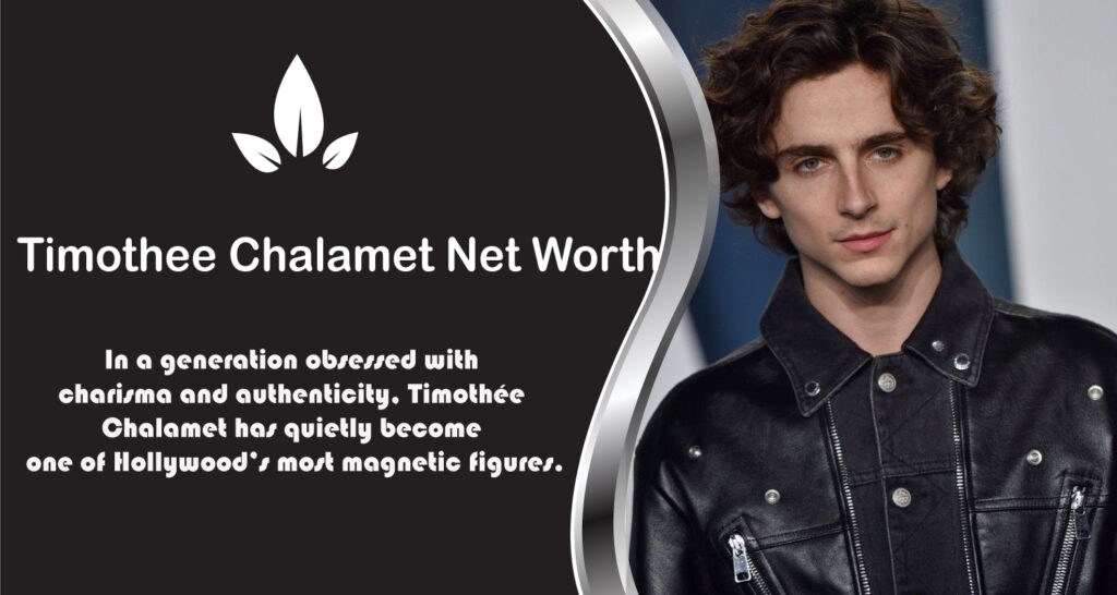 Timothee Chalamet Net Worth