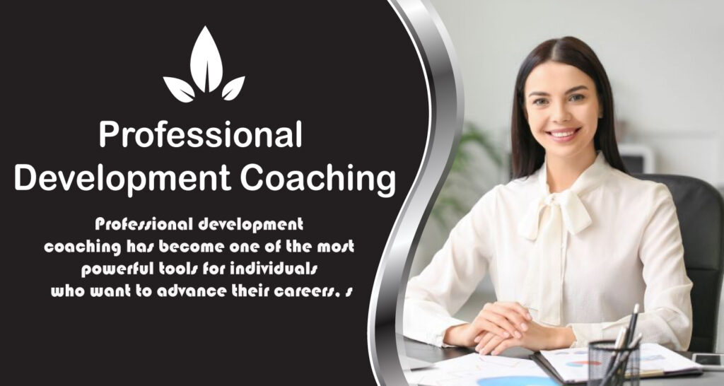 Professional Development Coaching