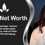 T-Pain Net Worth