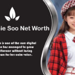 Stephanie Soo Net Worth: Age, Husband