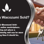 Where Is Wacozumi Sold