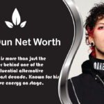 Josh Dun Net Worth