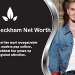 Romeo Beckham Net Worth