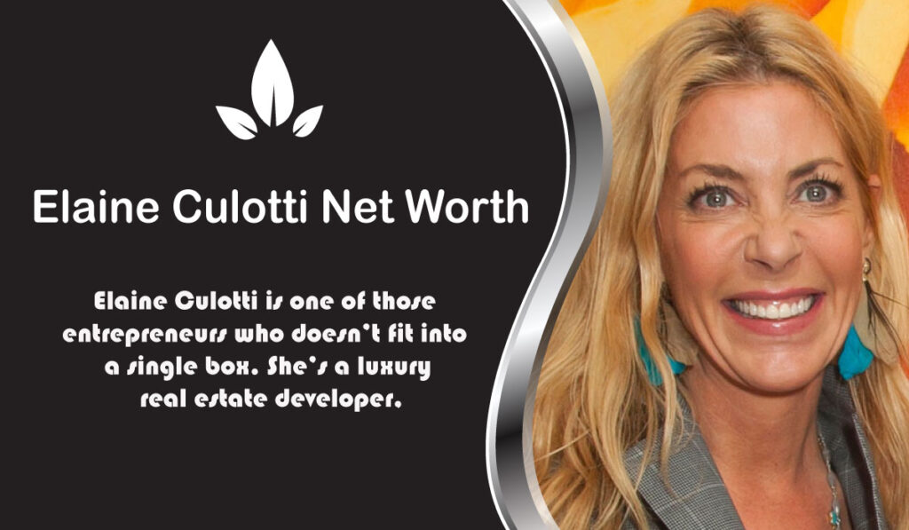 Elaine Culotti Net Worth