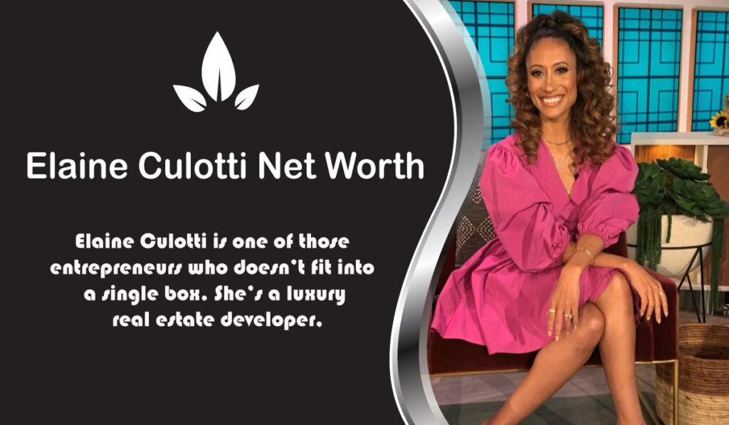 Elaine Culotti Net Worth
