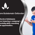 Keine Karriere-Subdomain Gefunden