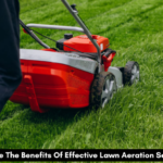 What Are The Benefits Of Effective Lawn Aeration Services?