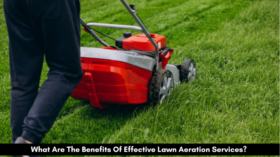 What Are The Benefits Of Effective Lawn Aeration Services?
