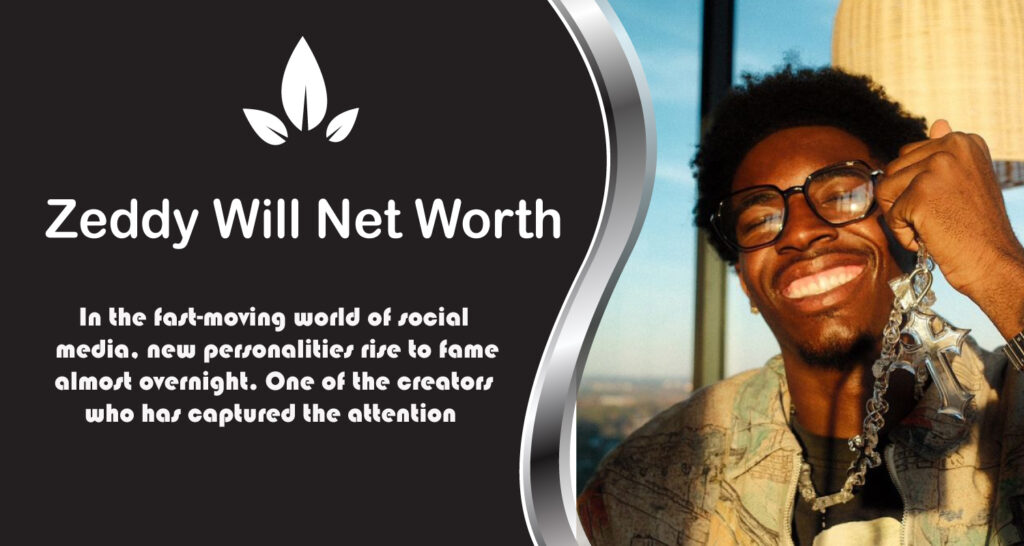 Zeddy Will Net Worth