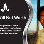 Zeddy Will Net Worth