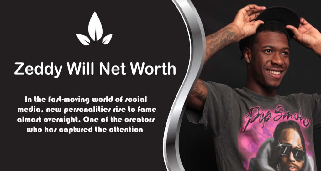 Zeddy Will Net Worth