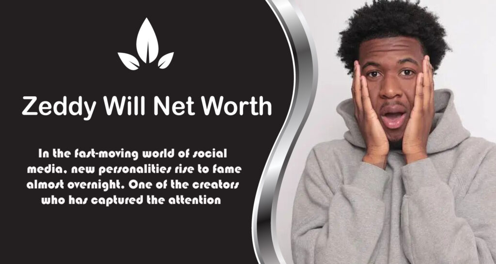 Zeddy Will Net Worth