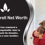 Brian Littrell Net Worth