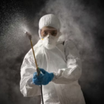 What Areas Around Your Home Need Mosquito Spraying Most?