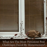 What Are The Most Persistent Pest Challenges Faced By Homeowners?