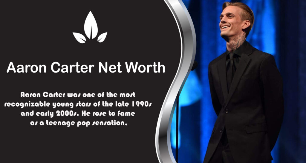 Aaron Carter Net Worth