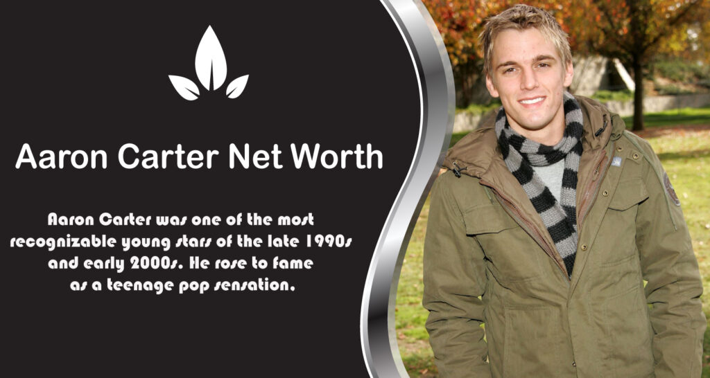 Aaron Carter Net Worth