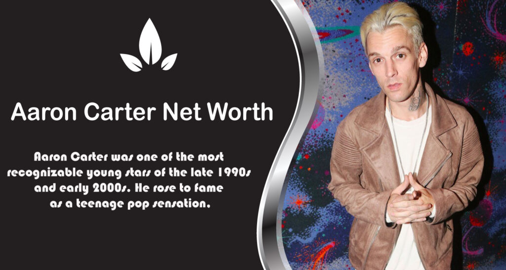 Aaron Carter Net Worth